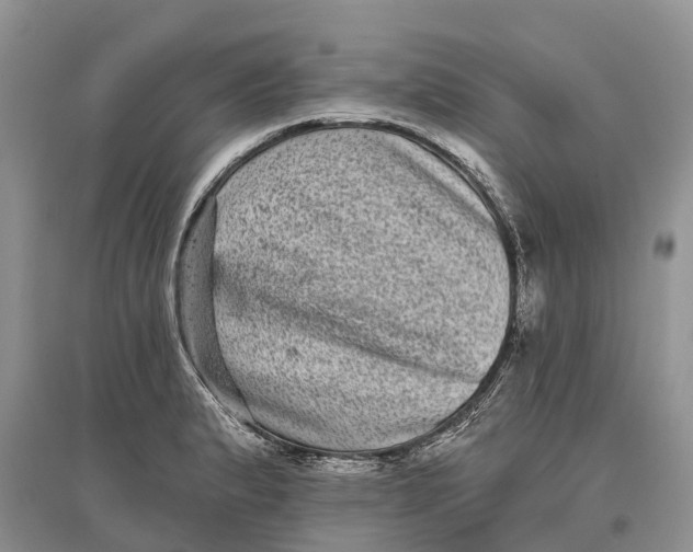 X0000097291183200803071725
