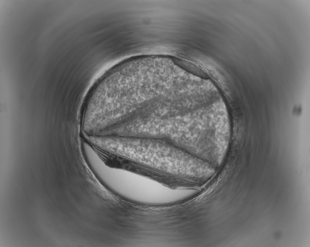 X0000097291184200803071725