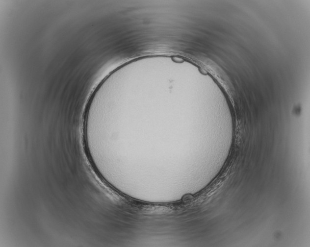 X0000097291187200803071725