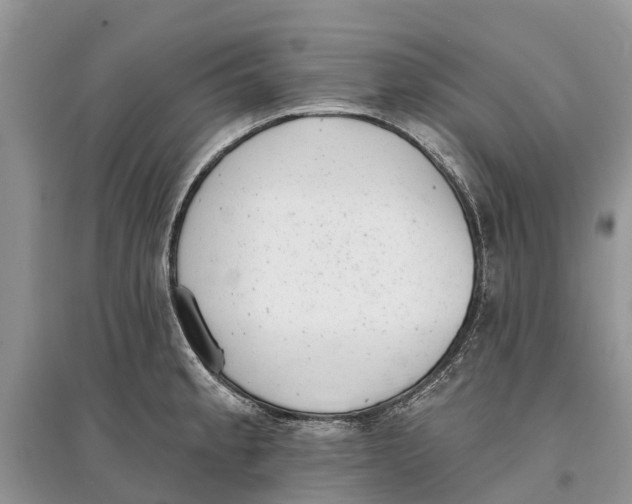X0000097291189200803071725