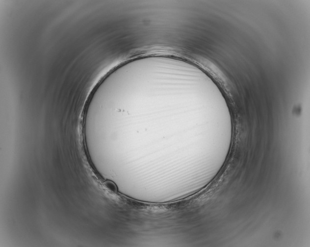 X0000097291190200803071725