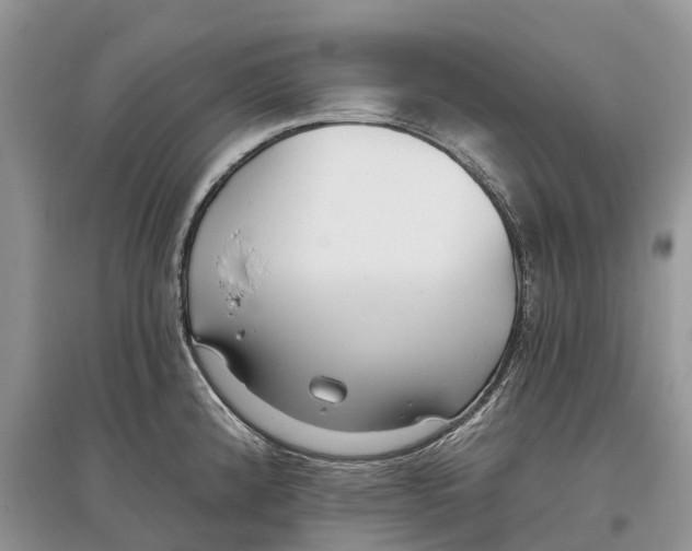 X0000097291192200803071725
