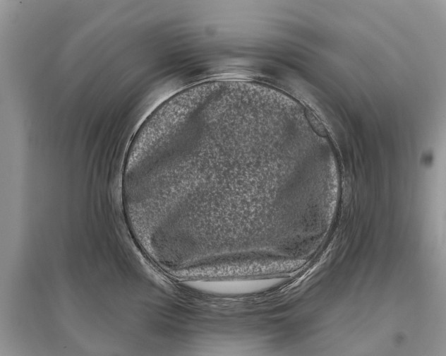 X0000097291194200803071725