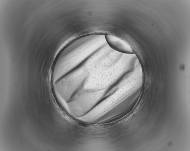 X0000097291198200803071725
