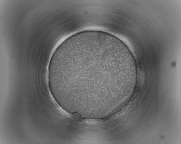 X0000097291199200803071725