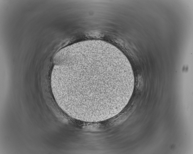 X0000097291201200803071725