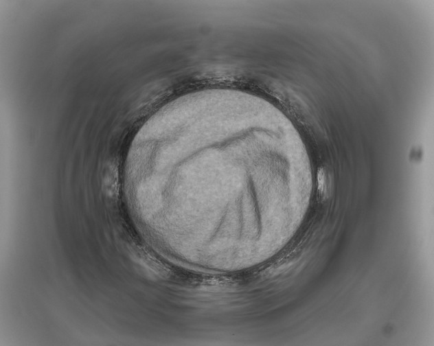 X0000097291203200803071725