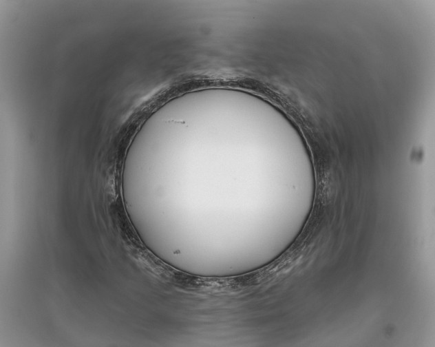X0000097291205200803071725