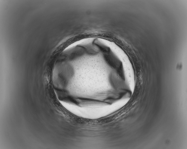X0000097291206200803071725