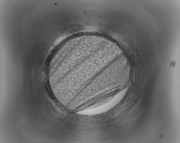X0000097291208200803071725