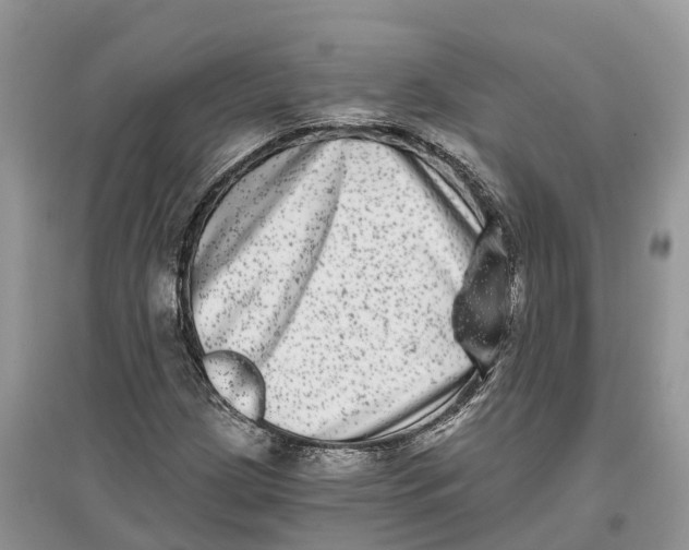 X0000097291209200803071725
