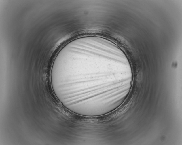 X0000097291210200803071725