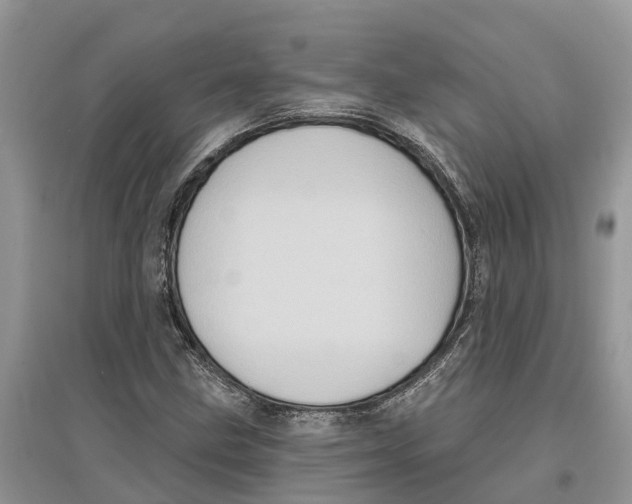 X0000097291211200803071725