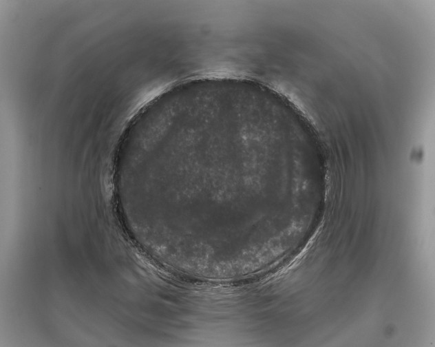 X0000097291213200803071725