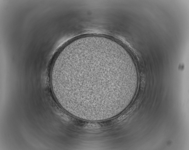 X0000097291215200803071725
