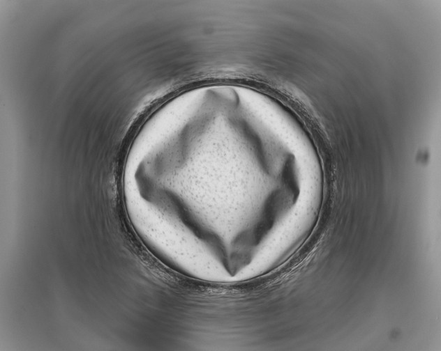 X0000097291218200803071725