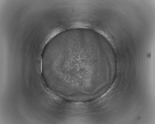 X0000097291219200803071725