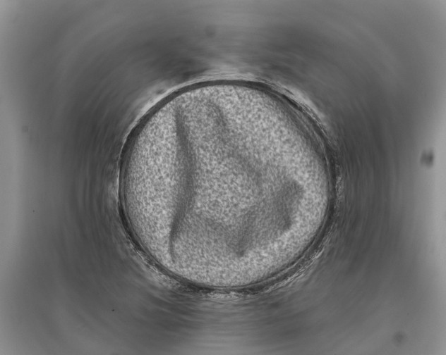 X0000097291220200803071725