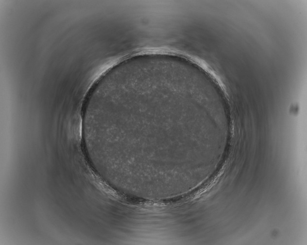 X0000097291221200803071725