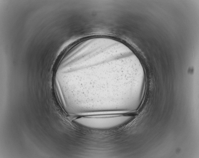 X0000097291222200803071725