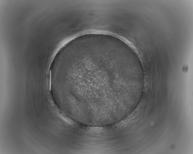 X0000097291223200803071725