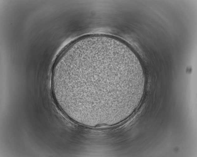 X0000097291224200803071725
