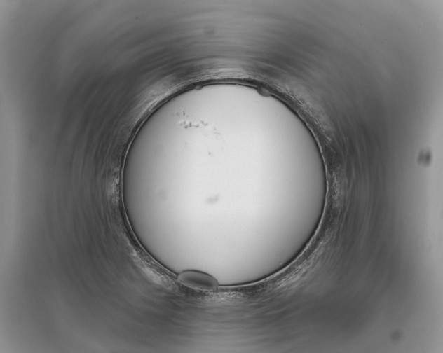 X0000097291225200803071725
