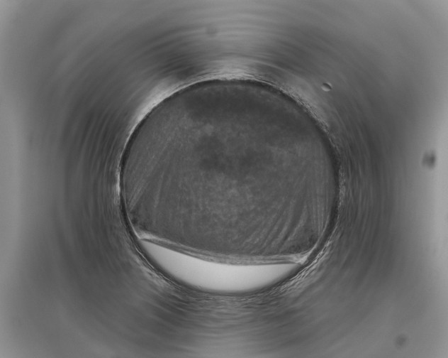 X0000097291226200803071725