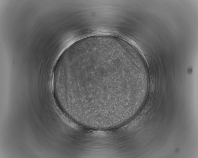 X0000097291227200803071725