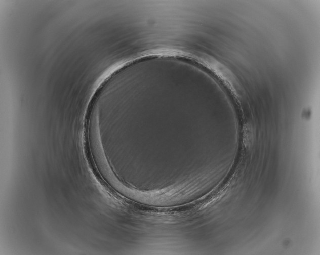 X0000097291229200803071725