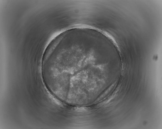 X0000097291231200803071725