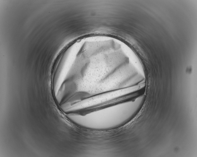 X0000097291232200803071725