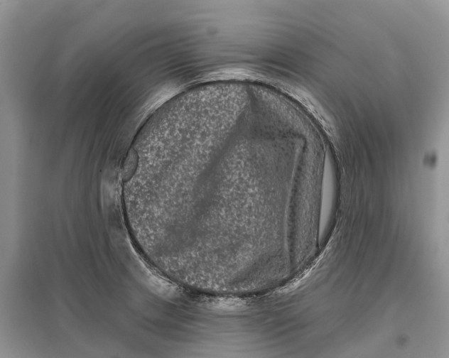 X0000097291233200803071725