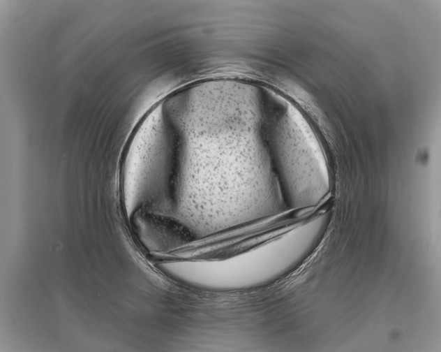 X0000097291234200803071725