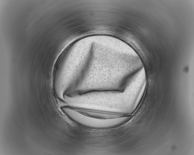 X0000097291236200803071725