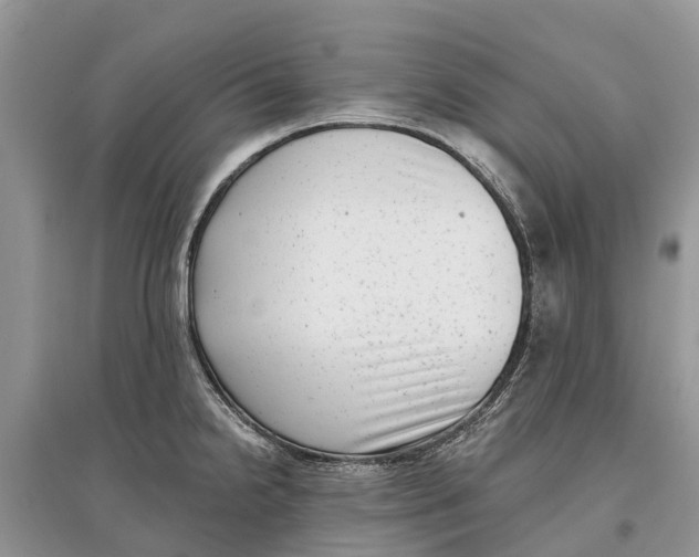 X0000097291238200803071725