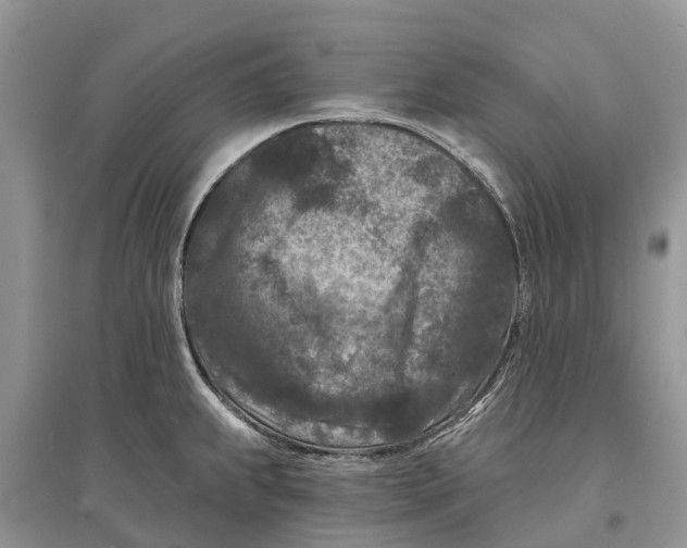 X0000097291239200803071725