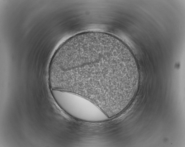 X0000097291240200803071725