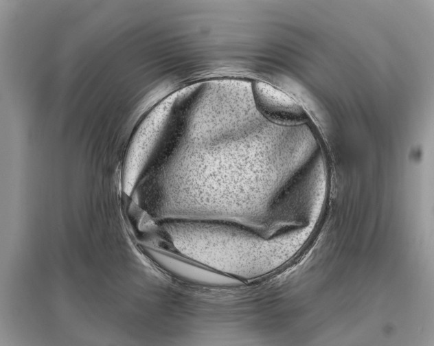 X0000097291241200803071725