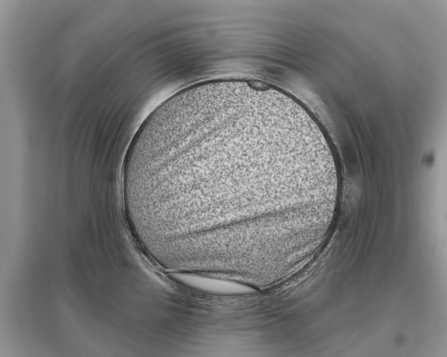 X0000097291242200803071725