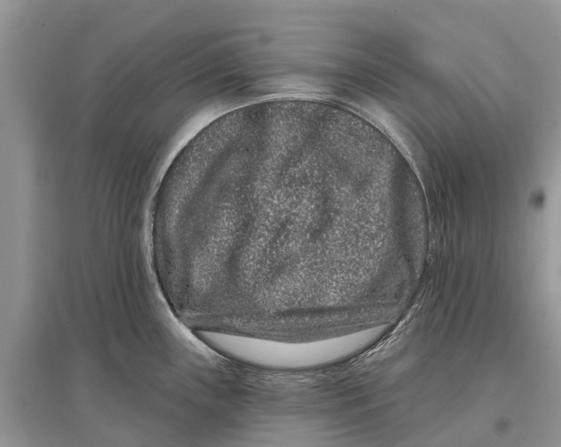 X0000097291243200803071725
