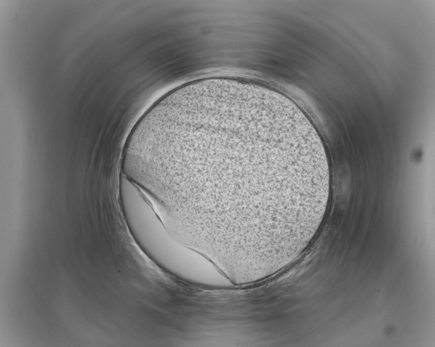 X0000097291244200803071725