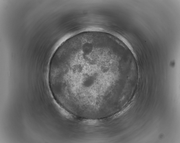 X0000097291245200803071725