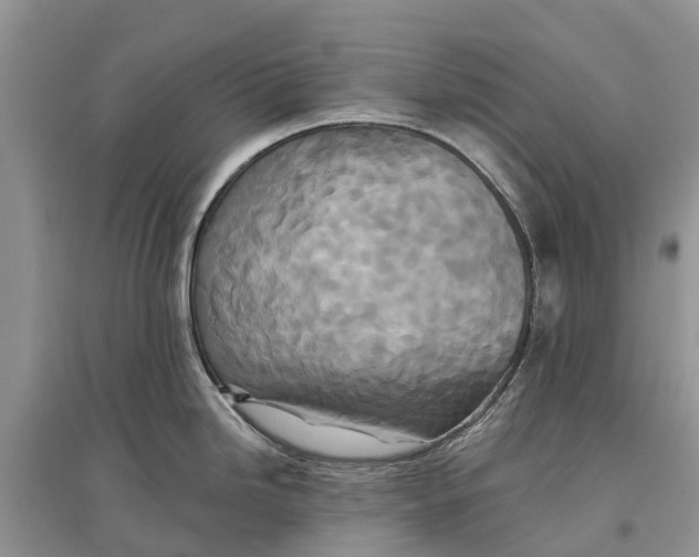 X0000097291246200803071725