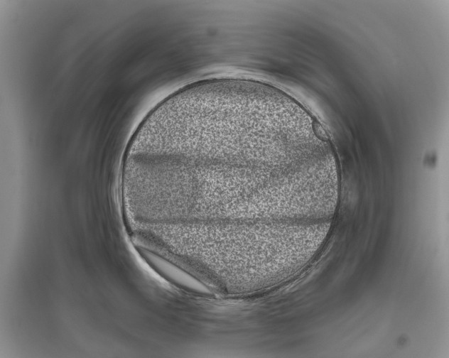 X0000097291247200803071725
