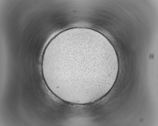X0000097291248200803071725