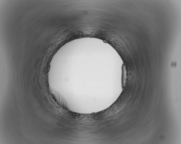 X0000097291249200803071725