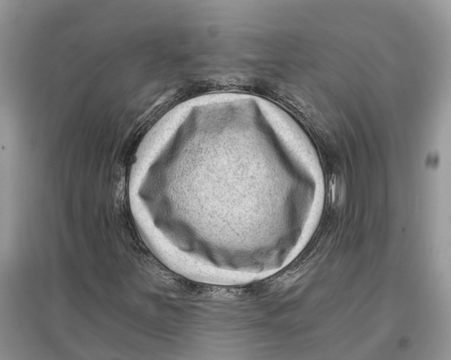 X0000097291251200803071724