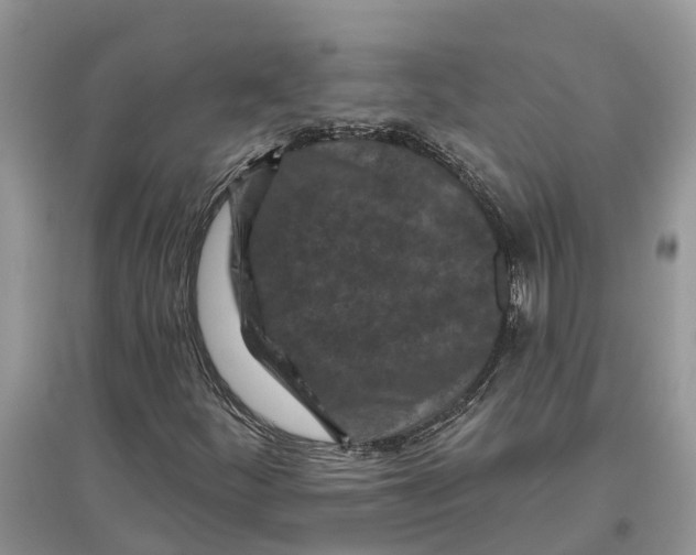 X0000097291252200803071724
