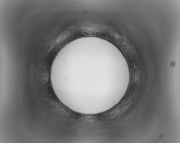 X0000097291253200803071724